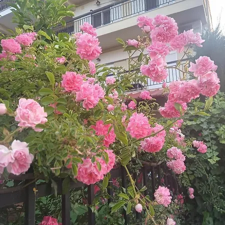 Niki Stavros Comfort Apartment Stavros (Thessaloniki)