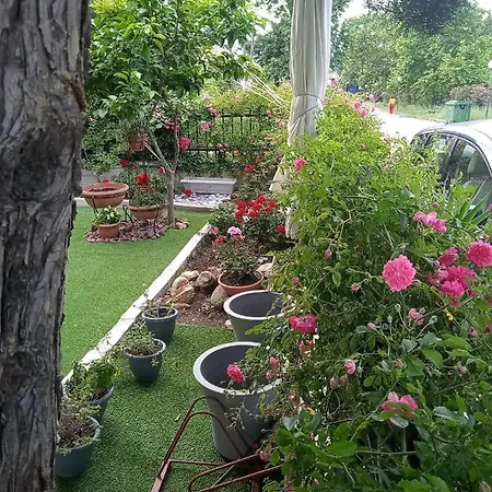 Apartment Niki Stavros Comfort Stavros (Thessaloniki)