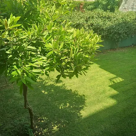 νiki Comfort Living *