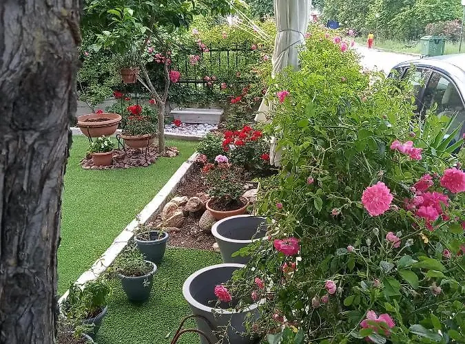 Apartment νiki Comfort Living Stavros (Thessaloniki)