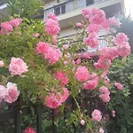 νiki Comfort Living Apartament Stavros (Thessaloniki)