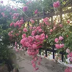 νiki Comfort Living * Stavros (Thessaloniki)