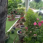 Appartement νiki Comfort Living Stavros (Thessaloniki)
