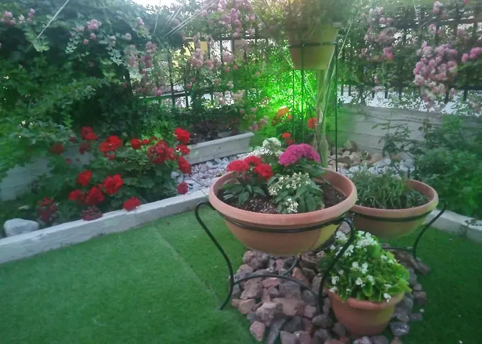 νiki Comfort Living Apartment *