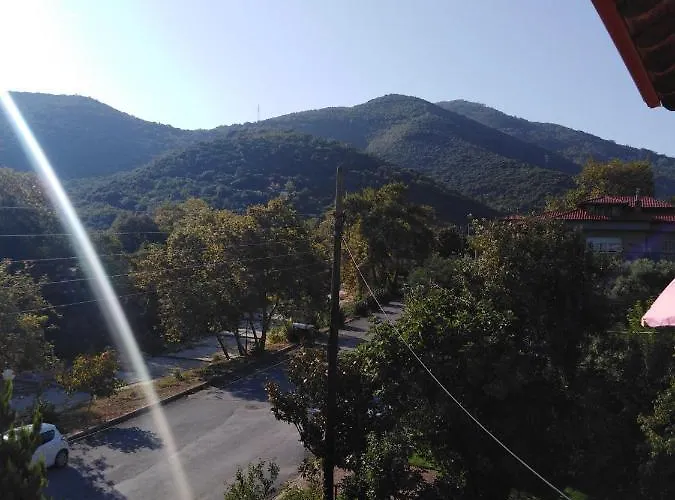 νiki Comfort Living *
